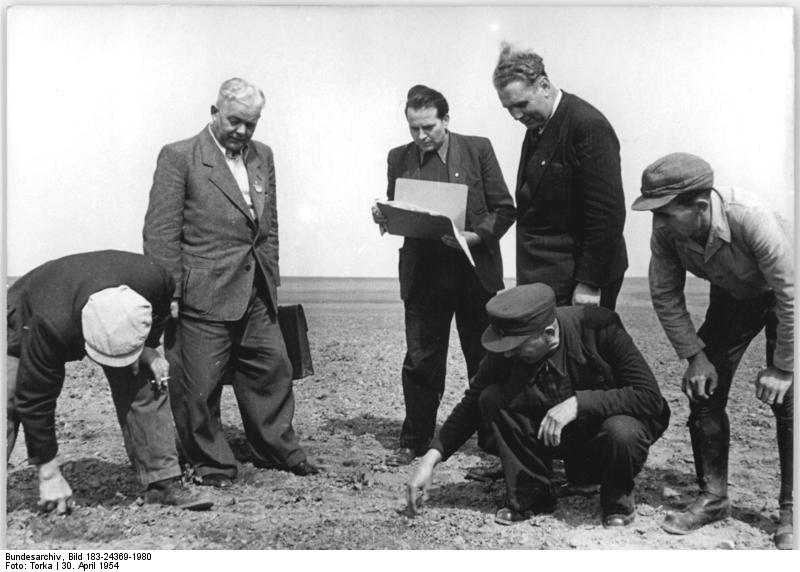 Bundesarchiv, Bild 183-24369-1980 /CC-BY-SA 3.0